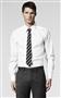 The White Dress Shirt, , small